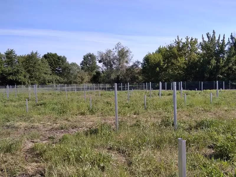 Parc panouri fotovoltaice 750 kWp - Espenhain Germania (10) Parc panouri fotovoltaice 750 kWp - Espenhain Germania