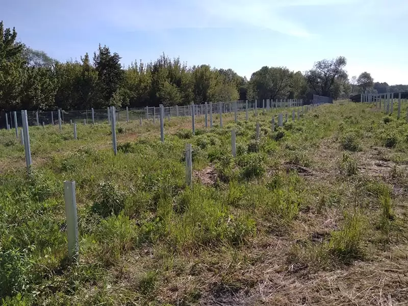 Parc panouri fotovoltaice 750 kWp - Espenhain Germania (13) Parc panouri fotovoltaice 750 kWp - Espenhain Germania