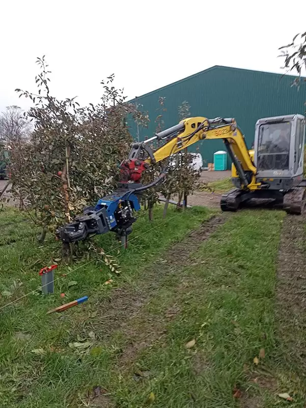 Parc panouri fotovoltaice Agro-PV 20 MWp - Jork Germania (1) Parc panouri fotovoltaice Agro-PV 20 MWp - Jork Germania