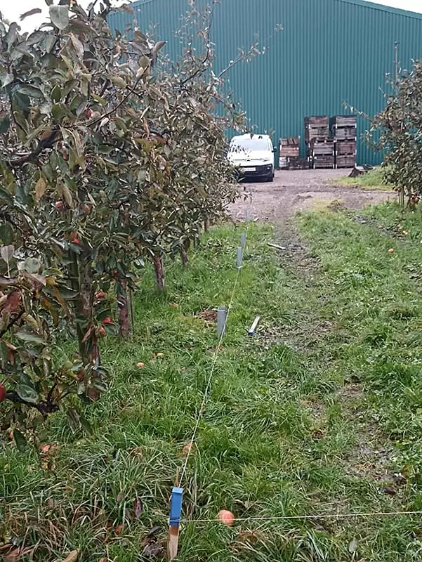 Parc panouri fotovoltaice Agro-PV 20 MWp - Jork Germania (6) Parc panouri fotovoltaice Agro-PV 20 MWp - Jork Germania